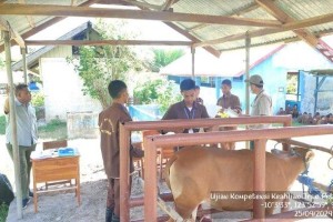 Tingkatkan Kompetensi Peserta Didik, SMK PP Kementan Gelar Uji Kompetensi Keahlian