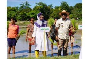 Penjabat Bupati Kupang-Apresiasi Kegiatan Perluasan-Area Tanam Pat Untuk Antisipasi Darurat Pangan