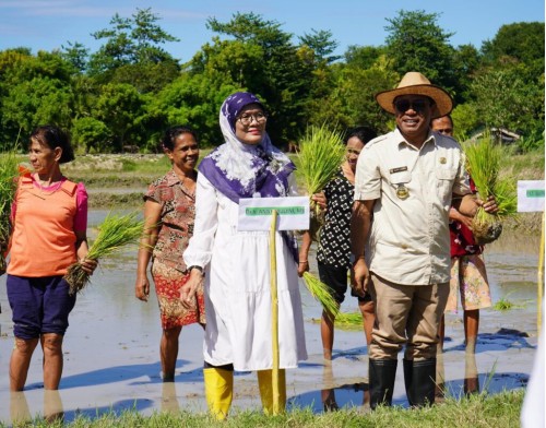 Penjabat Bupati Kupang-Apresiasi Kegiatan Perluasan-Area Tanam Pat Untuk Antisipasi Darurat Pangan