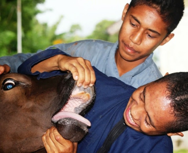 KEGIATAN PRAKTIK SISWA