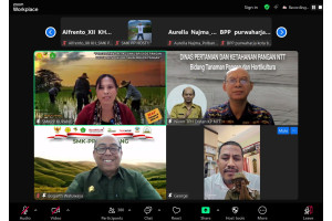 Wujudkan Swasembada Pangan, Kementan Dorong Percepatan Operasional Brigade Pangan