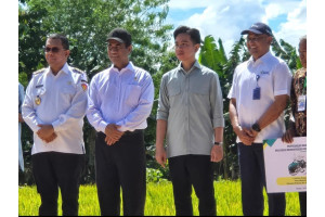 Percepat Swasembada Pangan di NTT, Wapres dan Mentan Salurkan Bantuan Alsintan