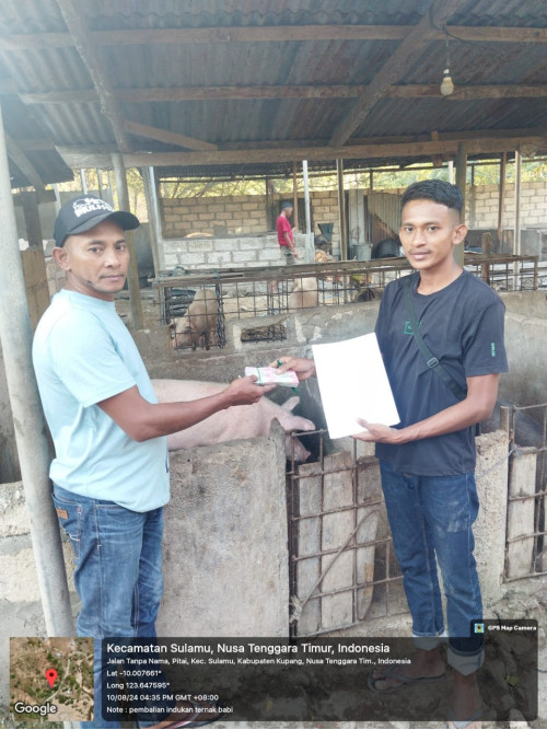 Sukses Berbisnis, Alumni SMK-PP Negeri Kementan Jadi Inspirasi Pemuda NTT