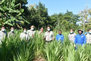 Hadirkan Inovasi Olahan Daun Kelor, Tim Pasca Panen SMK PPN Kupang Kementan Kebanjiran Order,