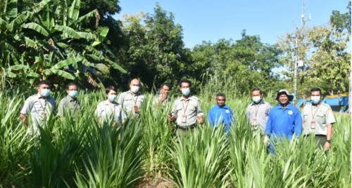 Hadirkan Inovasi Olahan Daun Kelor, Tim Pasca Panen SMK PPN Kupang Kementan Kebanjiran Order,