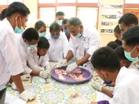 Ajarkan Reproduksi Ternak, Kementan Siap Cetak Generasi Emas Bidang Keperawatan Hewan