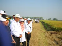 Mentan Amran: PM-AAS Gandakan Hasil Panen, Pendapatan Petani Ikut Naik