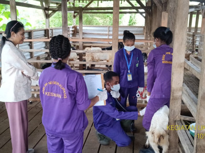 SIAPKAN LULUSAN TERAMPIL, SMK-PP NEGERI KEMENTAN ADAKAN UJI KOMPETENSI KEAHLIAN 