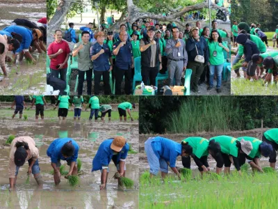 Tak Gentar Hadapi El Nino, Kementan Laksanakan Percepatan Tanam di 25 Provinsi
