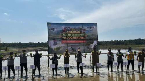 Perkuat Produksi Nasional, Kementan Dorong Peningkatan Indeks Pertanaman di Lahan Oplah dan CSR