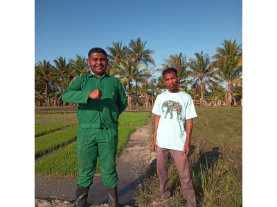 Optimalkan PAT, Siswa SMK PP Kementan Bersinergi dengan Petani dan Penyuluh NTT