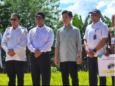 Percepat Swasembada Pangan di NTT, Wapres dan Mentan Salurkan Bantuan Alsintan
