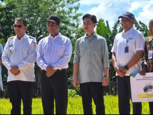 Percepat Swasembada Pangan di NTT, Wapres dan Mentan Salurkan Bantuan Alsintan