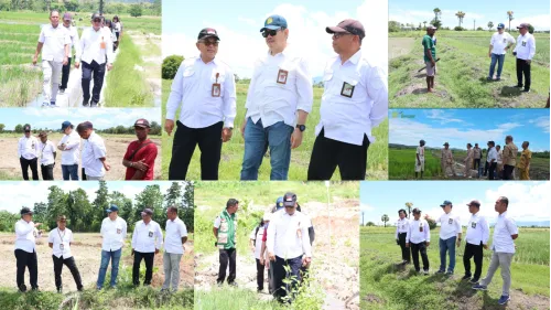 Dari Lahan Kering ke Lumbung Pangan, Strategi Baru Kementan