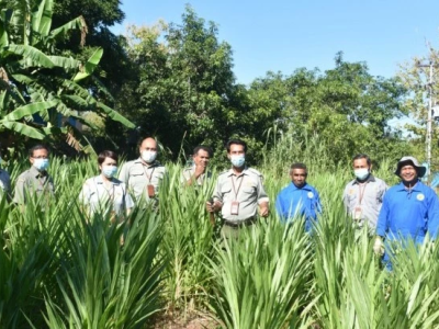 Hadirkan Inovasi Olahan Daun Kelor, Tim Pasca Panen SMK PPN Kupang Kementan Kebanjiran Order,