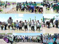 Perkuat Ketahanan Pangan Negeri, Kementan Laksanakan Tanam Padi Serentak di 17 Provinsi