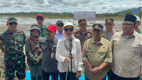 Tanam Serempak Digelar, Kementan Percepat Optimalisasi Lahan CSR